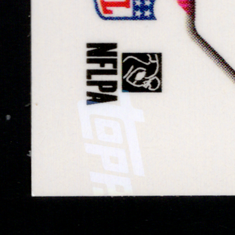 Back · Bottom Left
