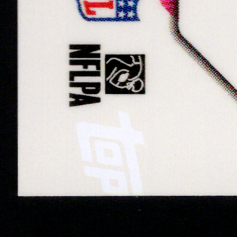 Back · Bottom Left