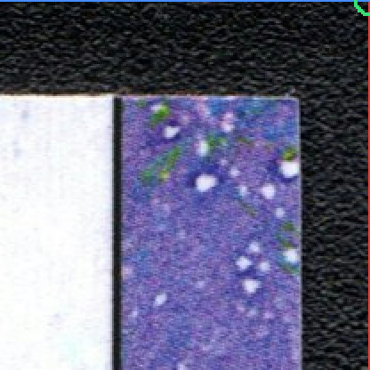 Back · Top Right