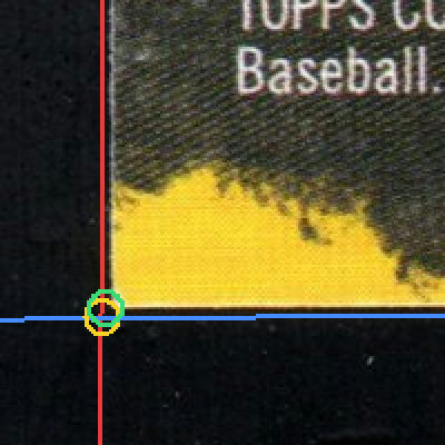Back · Bottom Left