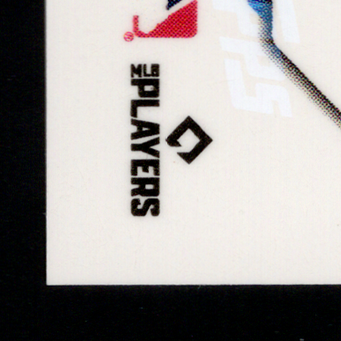 Back · Bottom Left