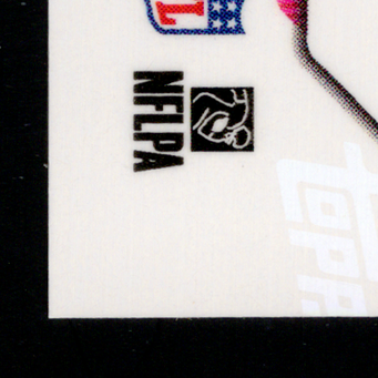 Back · Bottom Left