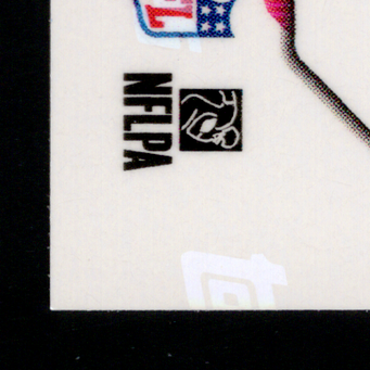 Back · Bottom Left