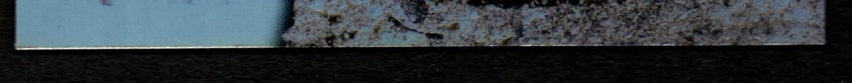 bottom edge