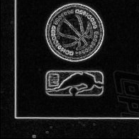 Back · Bottom Left