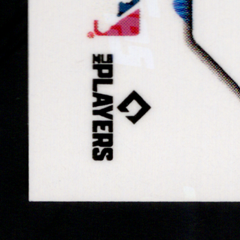 Back · Bottom Left