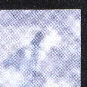Back · Top Right