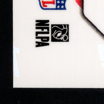 Back · Bottom Left