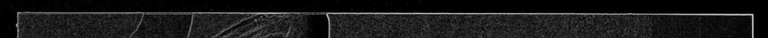 right edge