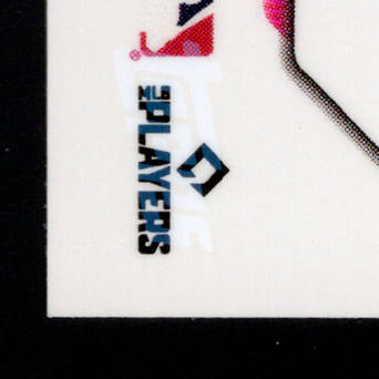 Back · Bottom Left