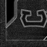 Back · Bottom Left
