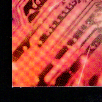 Back · Bottom Left