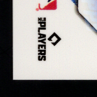Back · Bottom Left