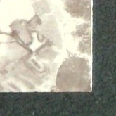 Back · Bottom Right