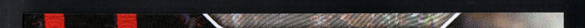 right edge