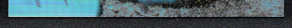 bottom edge
