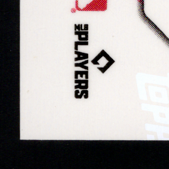 Back · Bottom Left