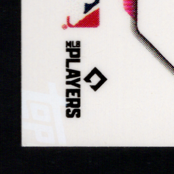 Back · Bottom Left