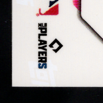 Back · Bottom Left
