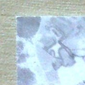 Back · Top Left