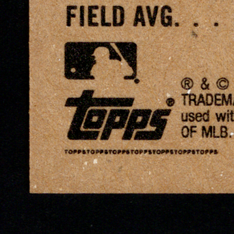 Back · Bottom Left