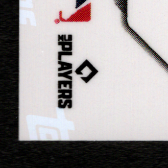 Back · Bottom Left