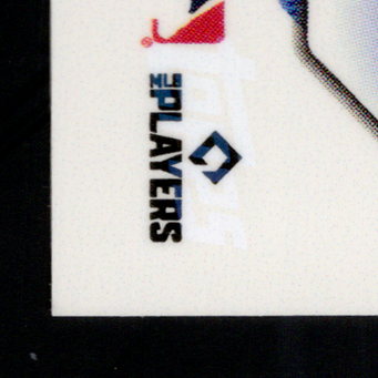 Back · Bottom Left