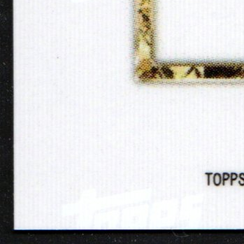 Back · Bottom Left