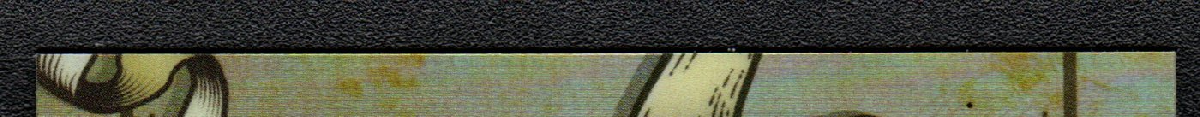 top edge