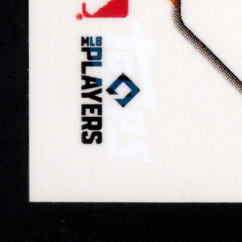 Back · Bottom Left