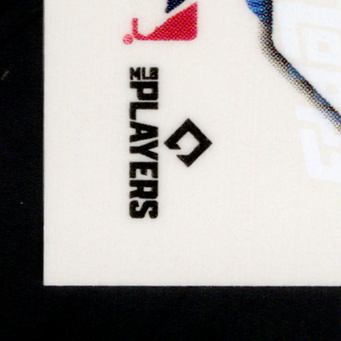 Back · Bottom Left