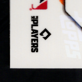 Back · Bottom Left