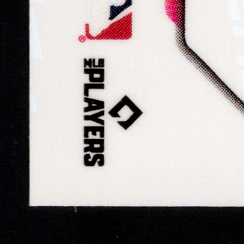 Back · Bottom Left