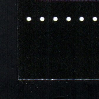 Back · Bottom Left