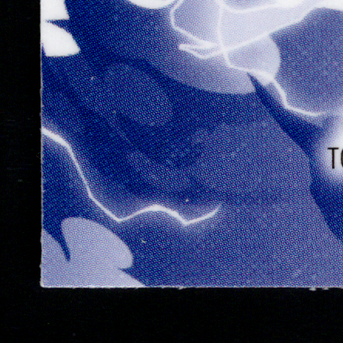 Back · Bottom Left