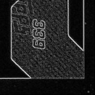 Back · Bottom Right
