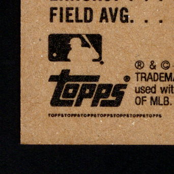Back · Bottom Left