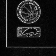 Back · Bottom Left