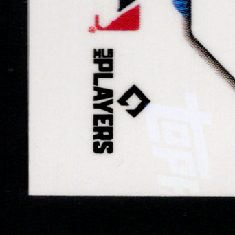 Back · Bottom Left