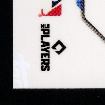 Back · Bottom Left
