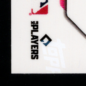 Back · Bottom Left