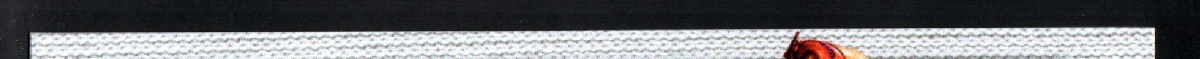 left edge