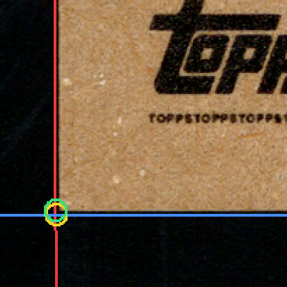 Back · Bottom Left