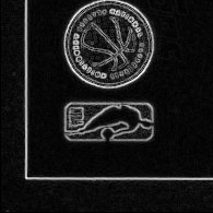 Back · Bottom Left