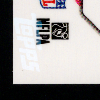Back · Bottom Left
