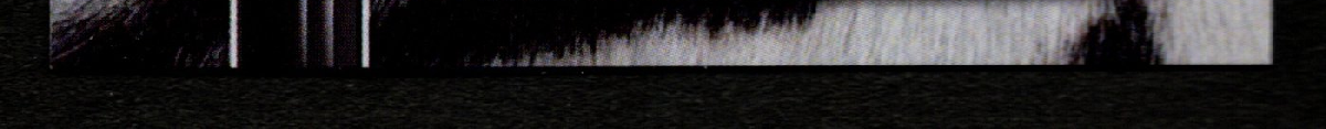 bottom edge
