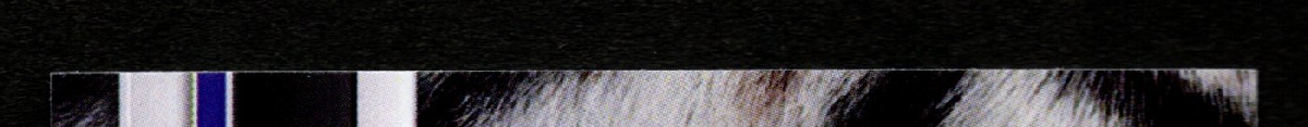 top edge