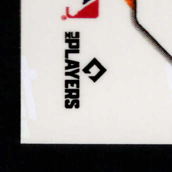Back · Bottom Left