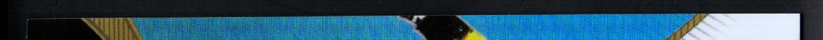 left edge