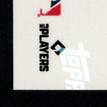 Back · Bottom Left